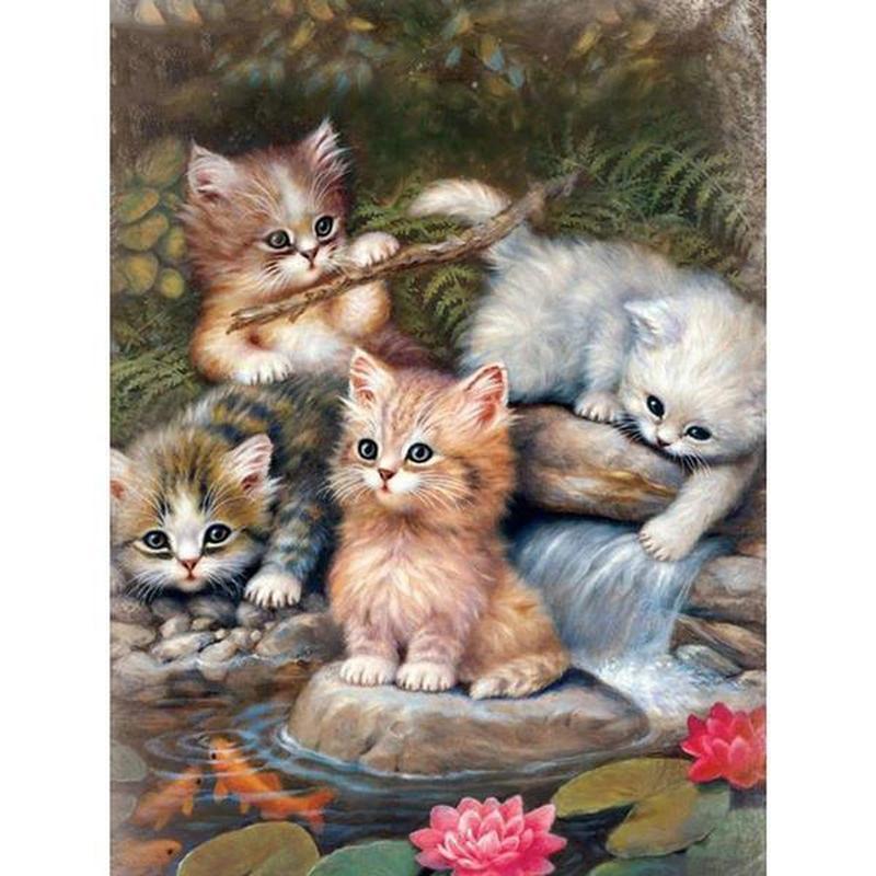 Kittens bij het water Diamond painting | Eigen foto | Dieren | Kopen | Dikke dames | Action | Nederland | Steentjes | Diamant | De Diamond Painter