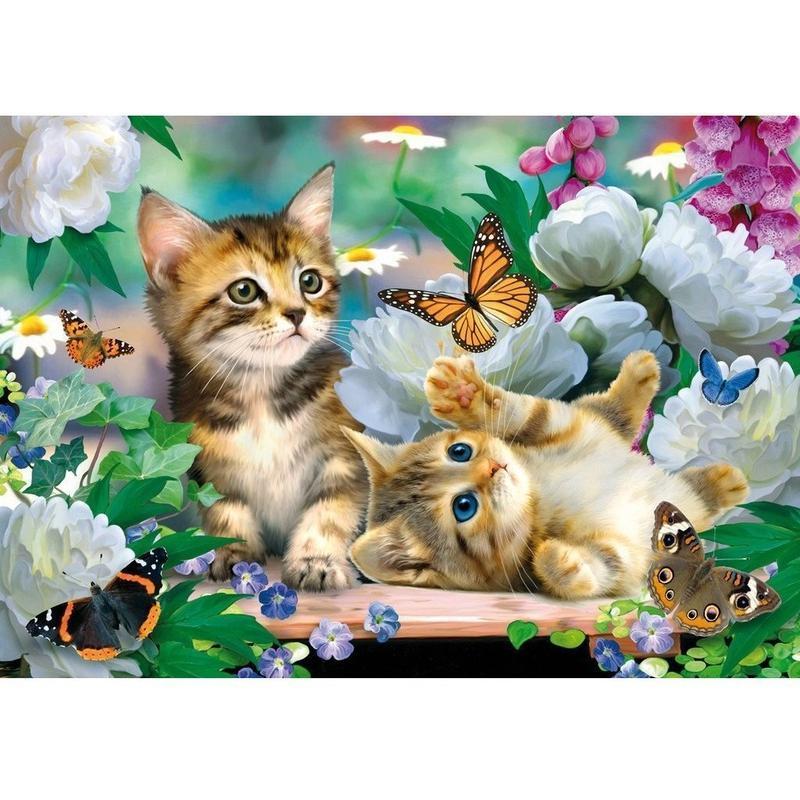 Kittens met vlinder Diamond painting | Eigen foto | Dieren | Kopen | Dikke dames | Action | Nederland | Steentjes | Diamant | De Diamond Painter