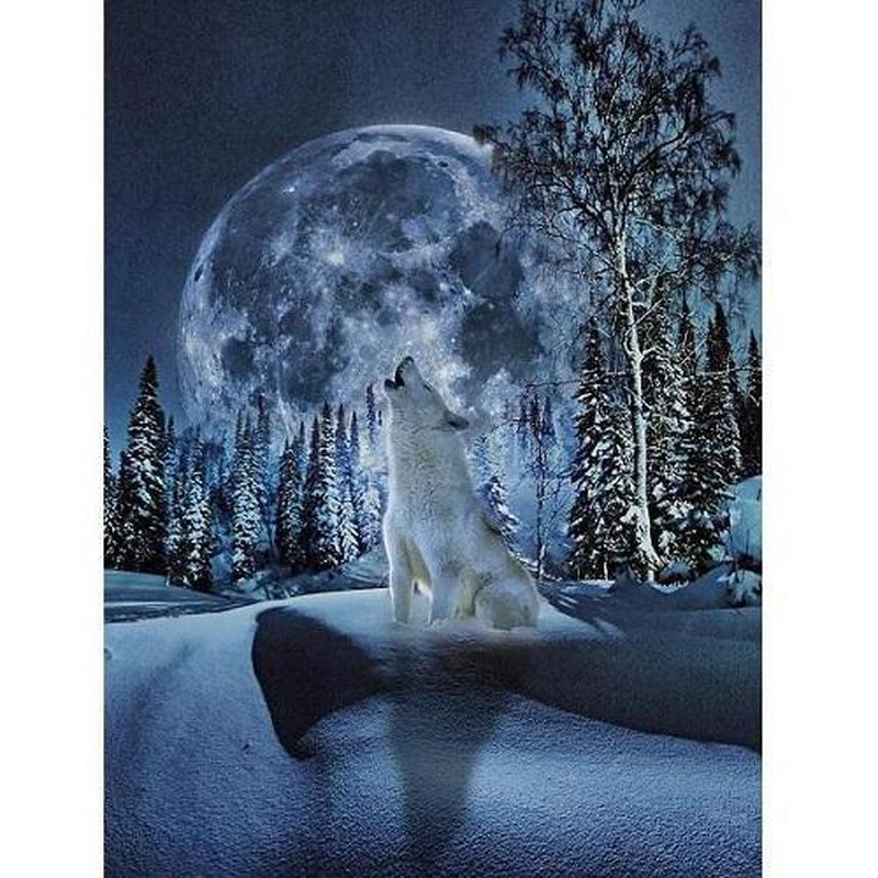 Wolf in sneeuwlandschap Diamond painting | Eigen foto | Dieren | Kopen | Dikke dames | Action | Nederland | Steentjes | Diamant | De Diamond Painter